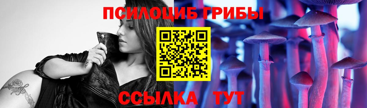 Псилоцибиновые грибы Cubensis Великие Луки